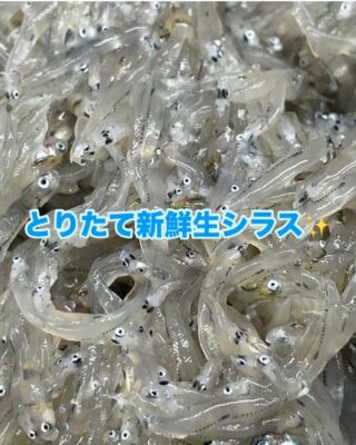 image0.jpeg
